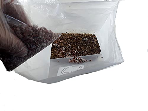 Componentes p/Produzir Cogumelo Reishi 100% natural Vegano