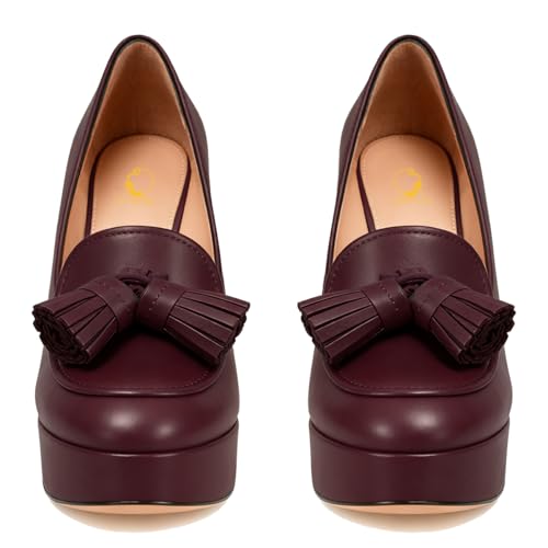 Image of SHODENSE Women Vintage Chunky Platform Loafers Pumps Tassel Round Closed Toe Slip On Suede Block High Heel Dress Loafer Shoes Buckle Strap Oxford Loafers Fringe Pump Dressy Chic Sexy Y2k 4-11 M US