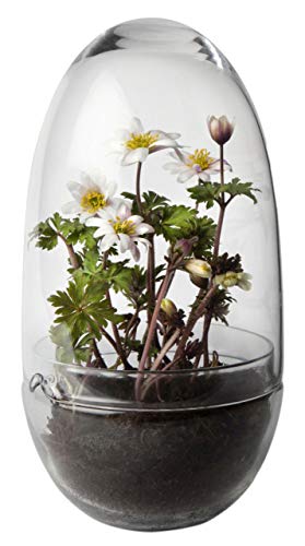 Preisvergleich Produktbild Grow Large Gewächshaus Design House Stockholm