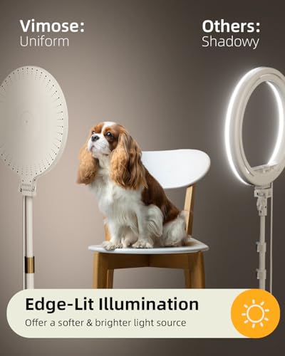 Image of 10.5 inch Ring Light with Stand and Phone Holder, 69 inch Tripod for iPhone | with Light Professional Led Full Screen Ringlight for Video Recording /Make up /Streaming for YouTube, Tiktok (White)