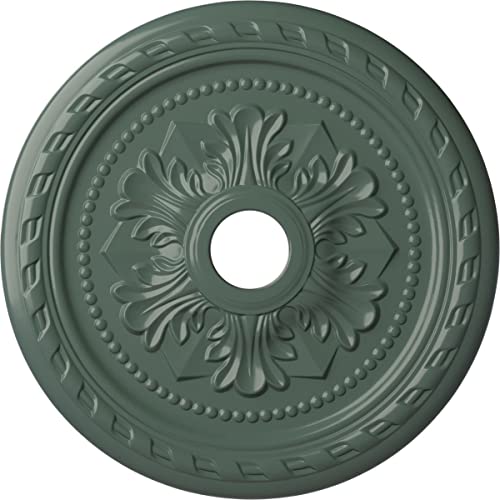 Ekena Millwork CM23PMCBF Palmetto Ceiling Medallion, Cloud Burst, 23 5/8"OD x 3 5/8"ID x 1 5/8"P