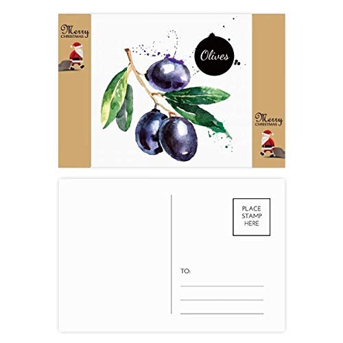 Cartes de remerciement aquarelle thème olive fruits et santé, lot de papeterie nature