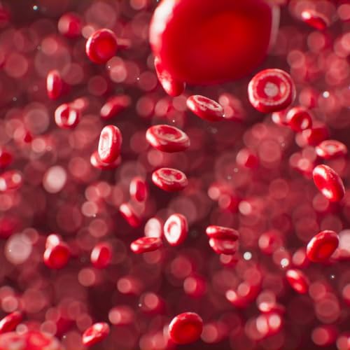 Anatomy of Anemia: Early Symptoms and Diagnostic Insights