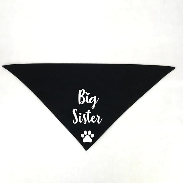 Foto 2 de 2 de Pañuelo para perro Big Brother Big Sister, fotos de anuncio de embarazo