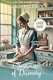 A Summer of Discovery LARGE PRINT (Amish Bonnet Sisters: Legacy of Faith - Large Print Editions)