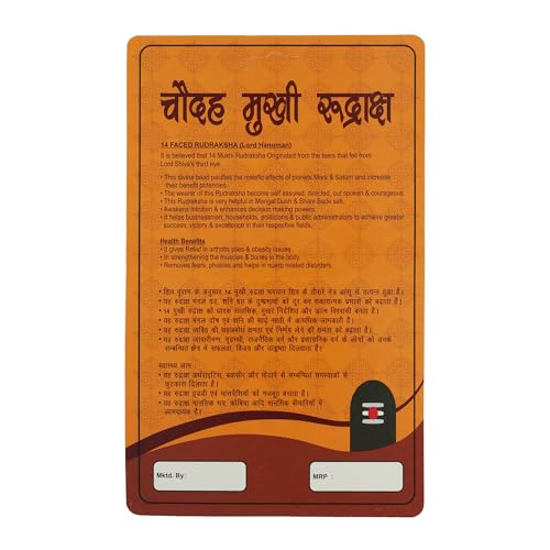 Image of 14 Mukhi Rudraksha Bead | Natural Rudraksh | Sacred Prayer Bead for Japa, Meditation & Puja Use