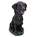 Animal Den Black Lab Dog Bobblehead Figure for Car Dash Desk Fun Accessory