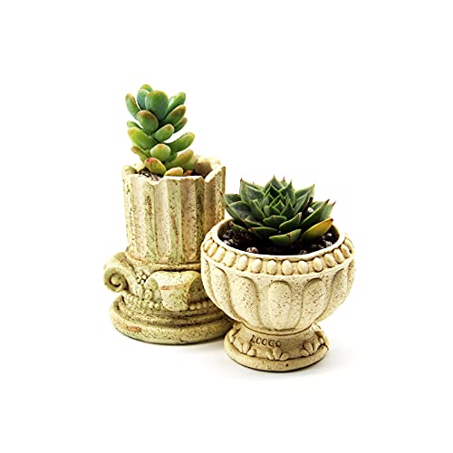 JAMOR Micro Landscape Plant Flower Pots Small Creative Flower Pots Original Retro Design Succulent Flower pots with Drainage Devices are Suitable for Cactus pots and Plant Decoration (2 in 1)