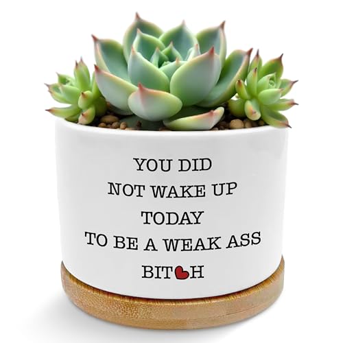 ROXMART Funny Inspirational Plant Pots, Sarcastic Gifts for Women Succulent Planters, You Did Not Wake Up Today to Be a Weak Ceramic Plant Flower Pots for Home Office Desk Table Shelf(No Plants)