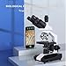 Herwicm Compound Trinocular Microscope 40X-5000X Magnification, Research Grade Professional Microscope, Two Levels of Mechanical Stage LED Illumination, USB Video Camera with Microscope for Adults