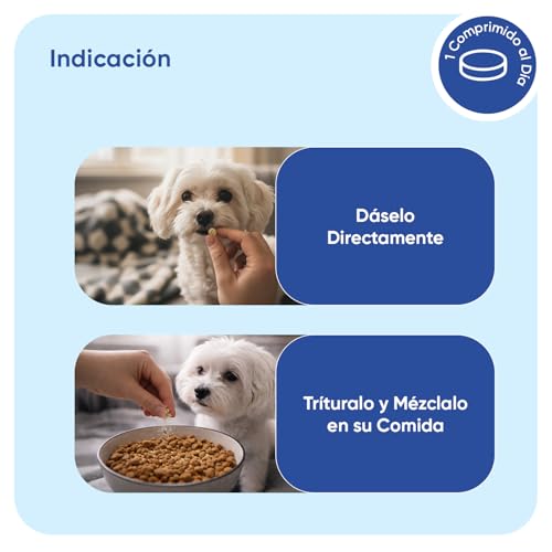 Multivitaminas y Minerales para Perros - 365 Comprimidos, 18 Vitaminas para Apoyo Inmunológico, Piel, Pelo y Articulaciones - Ideal para Todas Las Razas y Tamaños, Mayores y Cachorros - imagen 8