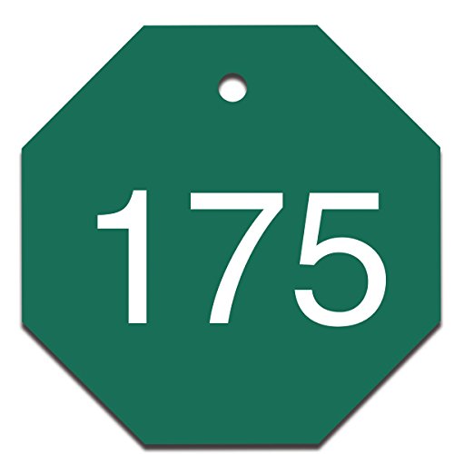 Étiquettes gravées plastique numérotées 150-175 jetons de marquage vert 3,8x3,8 cm