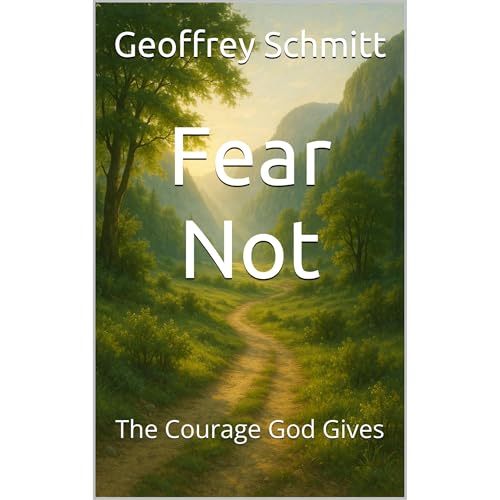 Fear Not Audiolibro Por Geoffrey Schmitt arte de portada