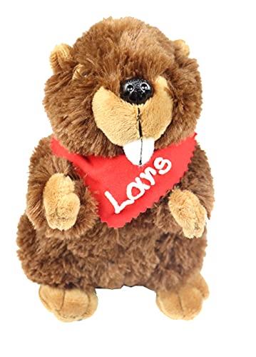Kuscheltier Biber braun 17,5cm mit Namen am Halstuch- Personalisiertes Kuscheltier - Personalisiertes Kindergeburtstagsgeschenk - Stofftier mit Wunschbeschriftung für Mädchen und Jungen