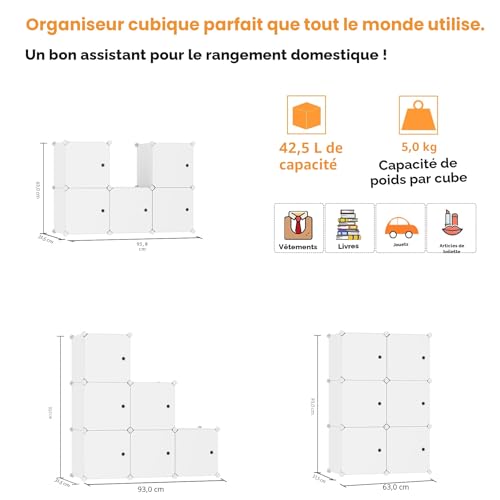 Étagère de rangement 6 cubes avec portes, C&AHOME