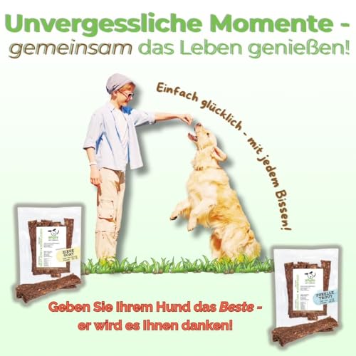 ROQSY Natur-Dörrfleisch 100% Ziege – Single-Protein, getreidefrei, ohne Zusätze, schonend getrocknet, ideal für Allergiker und Sensible Mägen, Made in Germany – 100g