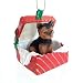 Eyedeal Figurines YORKSHIRE Terrier YORKIE Dog sits in a Polyresin RED Gift Box Christmas Ornament New RGBD131