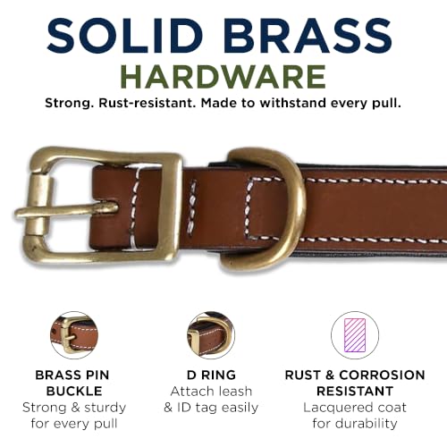 Image of Genuine Leather Adventure Dog Collar, Large, Soft Padding | Center O Ring, Brass Buckle, Medium, D Ring, Heavy Duty, Hand Tooled, Soft Nappa Padding, Fit Neck Size 18.5 inch-22.5 inch