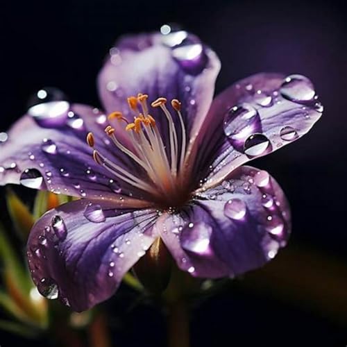 Lilium Candidum bulbi,Profumato,perenni,Giglio bulbi,Perfetto per le vacanze,Da piantare in giardino,lilium bulbi giganti(Steli grandi,senza semi,non artificiali)-2bulbi-H