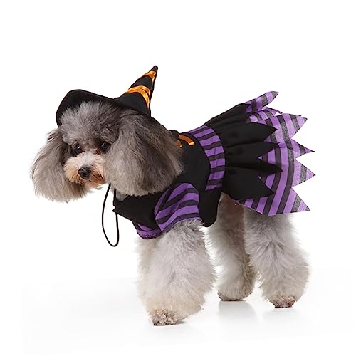 Disfraz Halloween Bruja para Perros Talla M