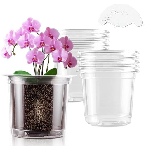SupKing 6 Inch Clear Nursery Pots