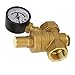 Brass Water Pressure Regulator, Adjustable with Gauge Meter, Durable Pressure Reducer for Home Industrial Equipment, Versatile for Various Water Systems