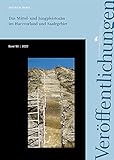 Veröffentlichungen des LDA und Archäologie Sachsen-Anhalt – Landesmuseum für Vorgeschichte