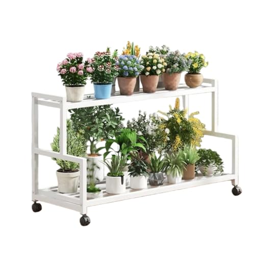 YFFY v^[X^h K[fbN ԒuI | A LX^[t ω׏d  X  O  oRj[ rO[p K[fpi (zCg,2w-80*40*62cm)