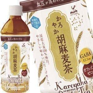 _ˋn ₩Ӗ 500mlPET×48{m24{×2nm@\\Hin