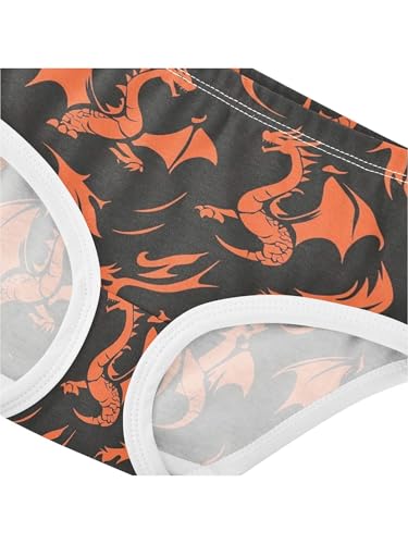 ZZKKO Silhouette Fire Dragon Girls Underwear Toddler Panties for Girls Comfort Brief Size 2-8T4