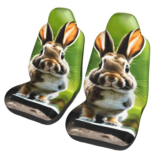 Housse de siège avant lapin protégez votre SUV avec les accessoires EdWal