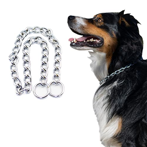 Reviews De Cadena Perro Los 5 Más Buscados. Las Mejores Reviews De