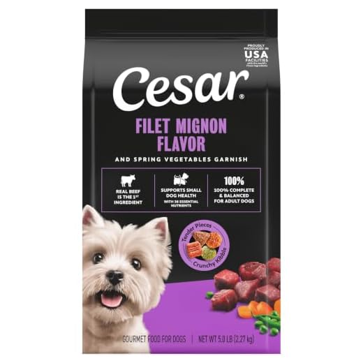 Cesar Small Breed Dry Dog Food for Small Dogs, Filet Mignon Flavor and Spring Vegetables Garnish, 5 lb Bag