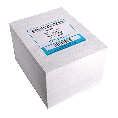 GE Bio-Sciences 10547922 Grade GB003 Blotting Paper Sheet, Pure Cellulose, 20cm Width, 25cm Length, Pack of 100