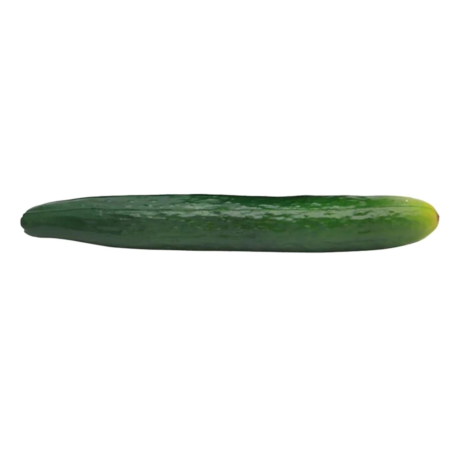 LUYSGBXR Fake Vegetable Simulation Cucumber Artificial Vegetable Photography Props Realistic