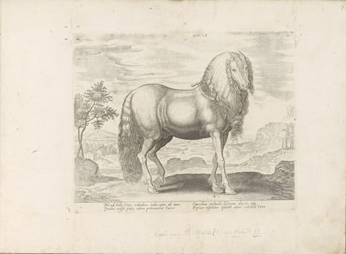 Poster Jan Van Der Straet leStagioni cuadro grande para decorar paredes vacias 1