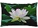 EKOBLA Kissenbezug mit Lotusblumen, Aquarellfarben, Sommerblumen, grüne Blätter, Gartendekoration, Lendenwirbelkissen, Kissen für Sofa, Couch, Bett, Standardgröße, Queen-Size-Größe 50,8 x 76,2 cm