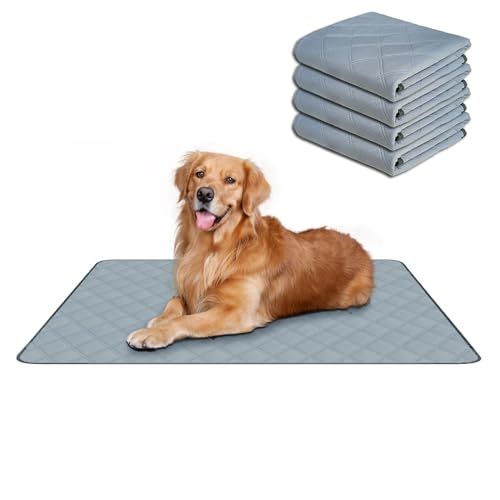 Image of RIOUSSI Washable Pee Pads for Dogs, Reusable, Absorbent, Leakproof, Non Slip Pet Puppy Pads for Potty Training. Light Gray, 24x36 Inch(4pack)