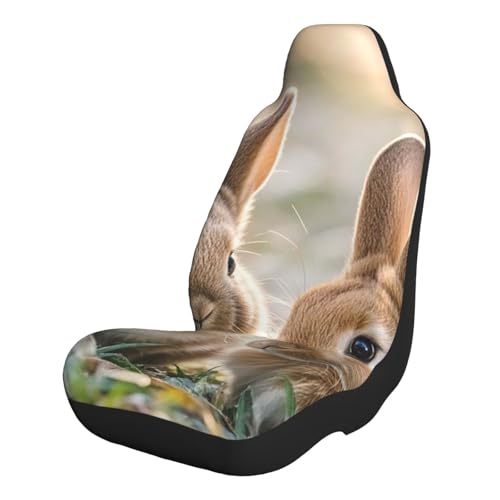 Housses de siège deux petits lapins mignons lavables pour SUV et camion
