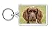 Produktbild Advanta - Keyrings Liver Springerspaniel-Hunde Foto Schlüsselbund TierstrumpffüllerGeschenk