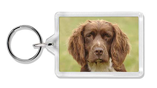 Preisvergleich Produktbild Advanta - Keyrings Liver Springerspaniel-Hunde Foto Schlüsselbund TierstrumpffüllerGeschenk