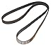 ContiTech PK060620 Serpentine Belt