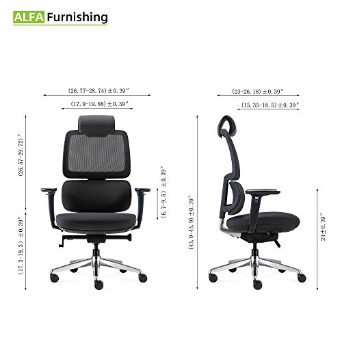 Executive Office Chair for Home Office, ALFA Furnishing Ergonomic Office Chair Computer Chair with Lumbar Support and Adjustable Backrest & 3D Armrests & Cushion (with Heardrest, Black)