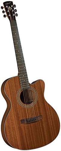 bristol 12 string