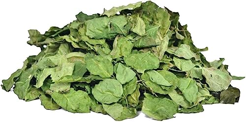 VNZ Mehndi (Henna) Leaves Dry (100 Gram) miniatura 1