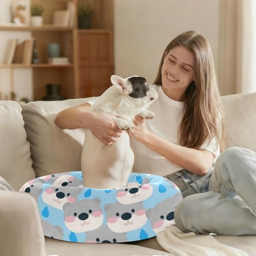 Panier pour chat de petite taille M format beignet anti-stress
