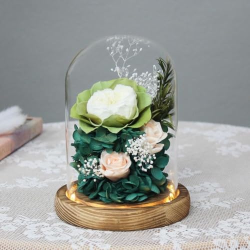 CokBlu vU[uht[Mtg ͂ȂԃsN[YKXh[Ɏ LED Cgt hCt[vUP[Xő蕨ɍœK Mtg{bNX񂰑܃bZ[WJ[ht ̓jJXjLOahV̓ȂǂjɊp