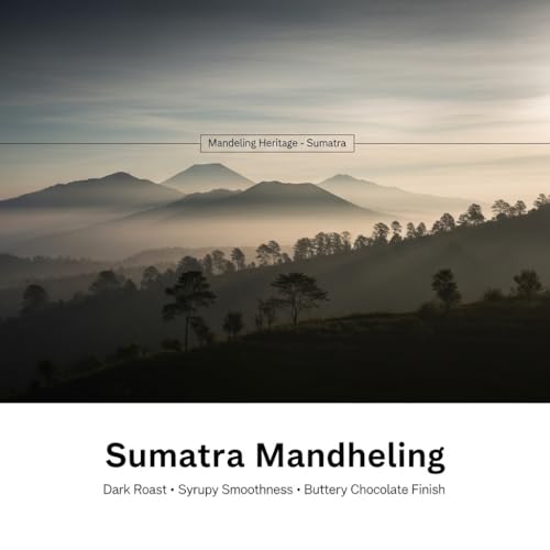 Sumatra Mandheling Dark Roast Coffee en grano 1 lb miniatura 2