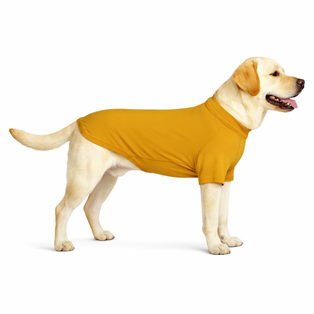 Vêtements pour chiens de grande taille 3XL : t-shirt jaune moutarde en coton extensible