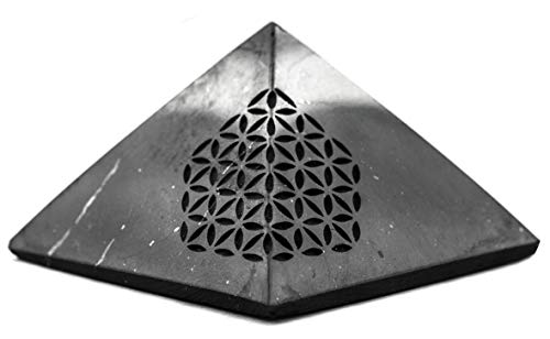Shungite Pietra della vita fatta a mano grezza